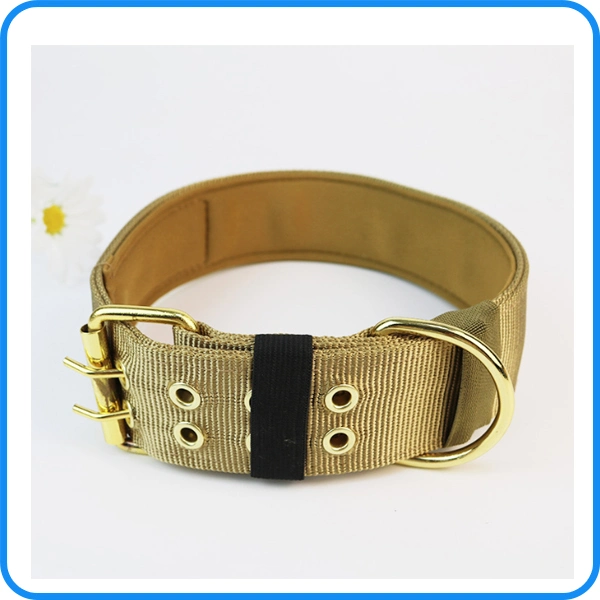 Taktisches Nylon Halsband Haustier Produktversorgung Hundehalsband