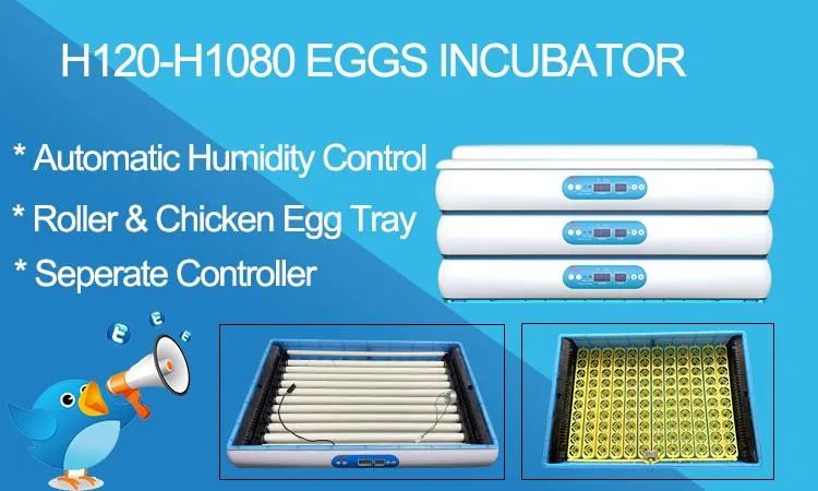 Hhd Solar Automatic Turning Small Poultry 400 Chicken Egg Incubator Quail Duck