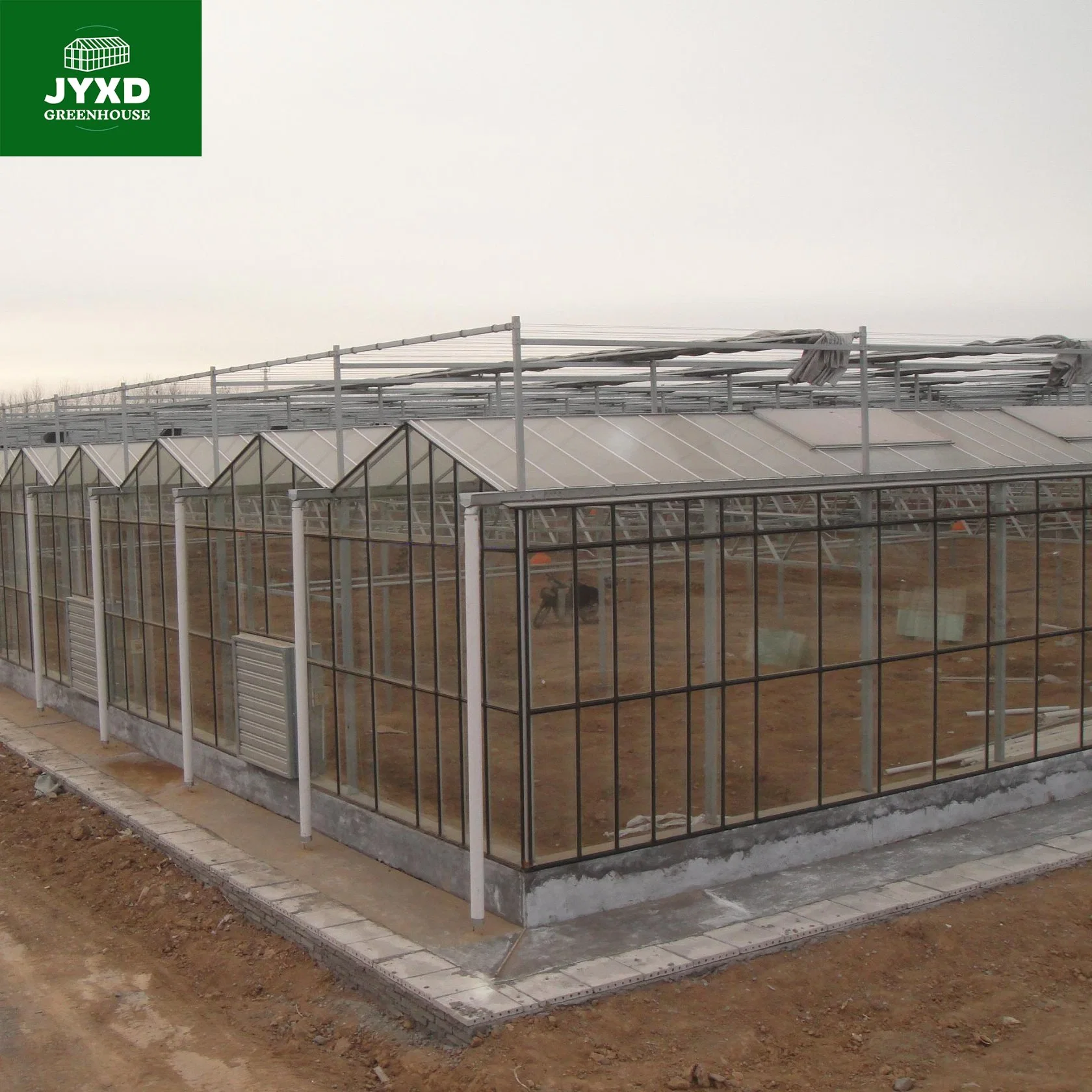 Modern Agriculture Multi-Span Customized Glass Greenhouse with Hydroponics System Cooling System for Vegetables Fruits Flowers Strawberry Fruits