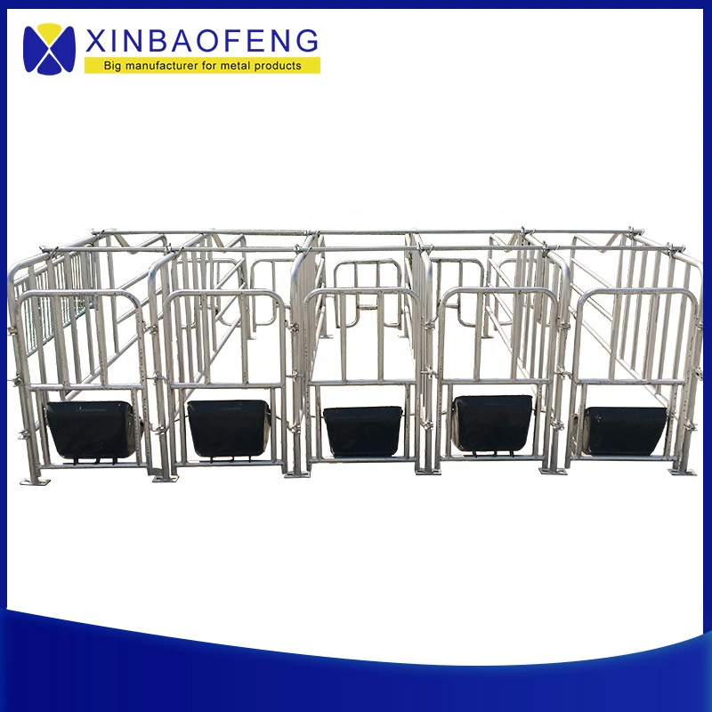 Factory Pig Breeding Equipment Weaning Stall Location Bar for Pregnant Sow Gestation Stall Pig Farrowing Crate