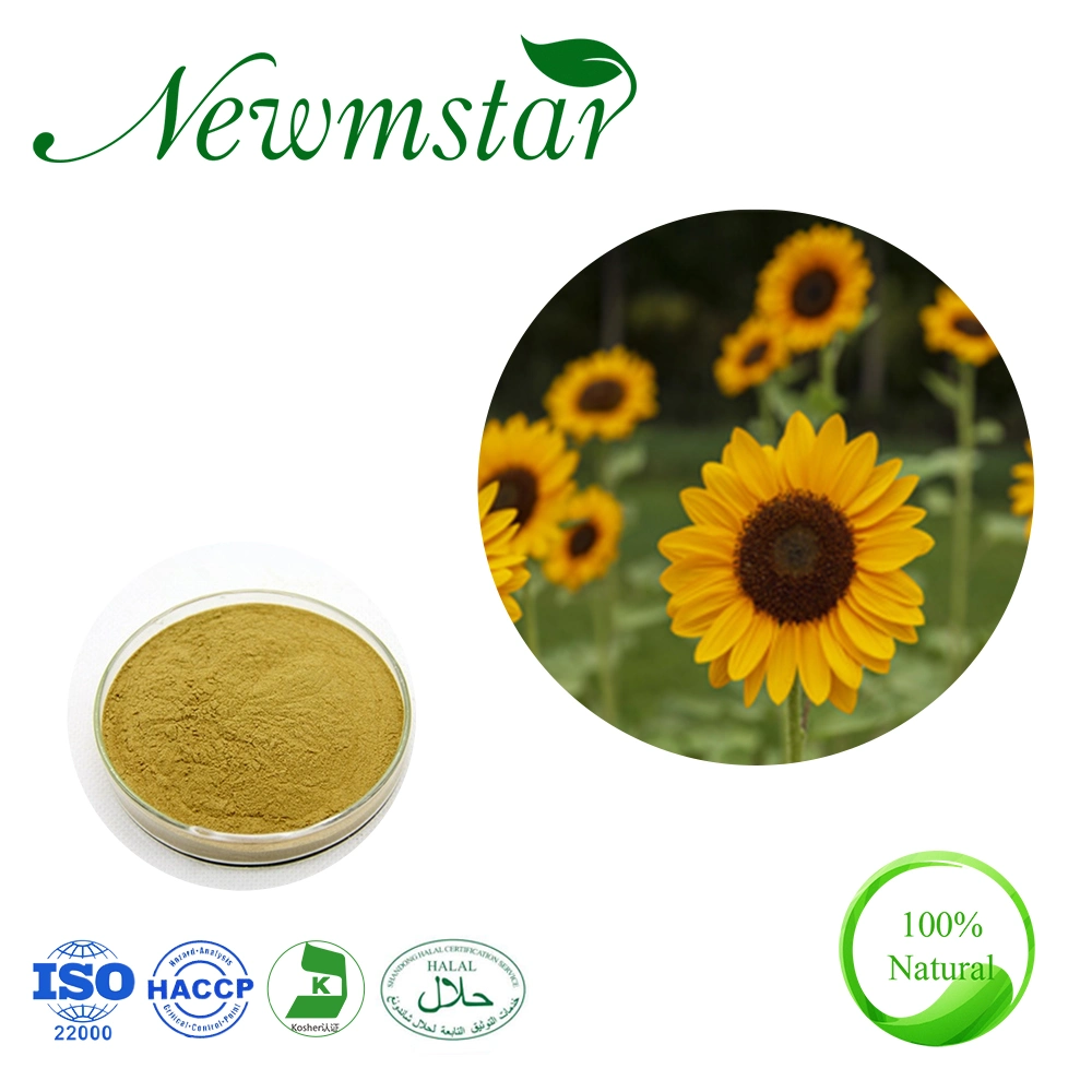 Extrait de fines herbes naturelles 100 % 50 % de la phosphatidylsérine Helianthus annuus Extrait Extrait de graines de tournesol