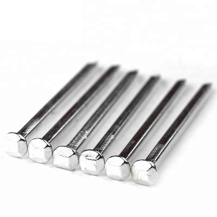 Hot Sale Polished Bright White Sliver Iron Raised Head Square Boat Nail