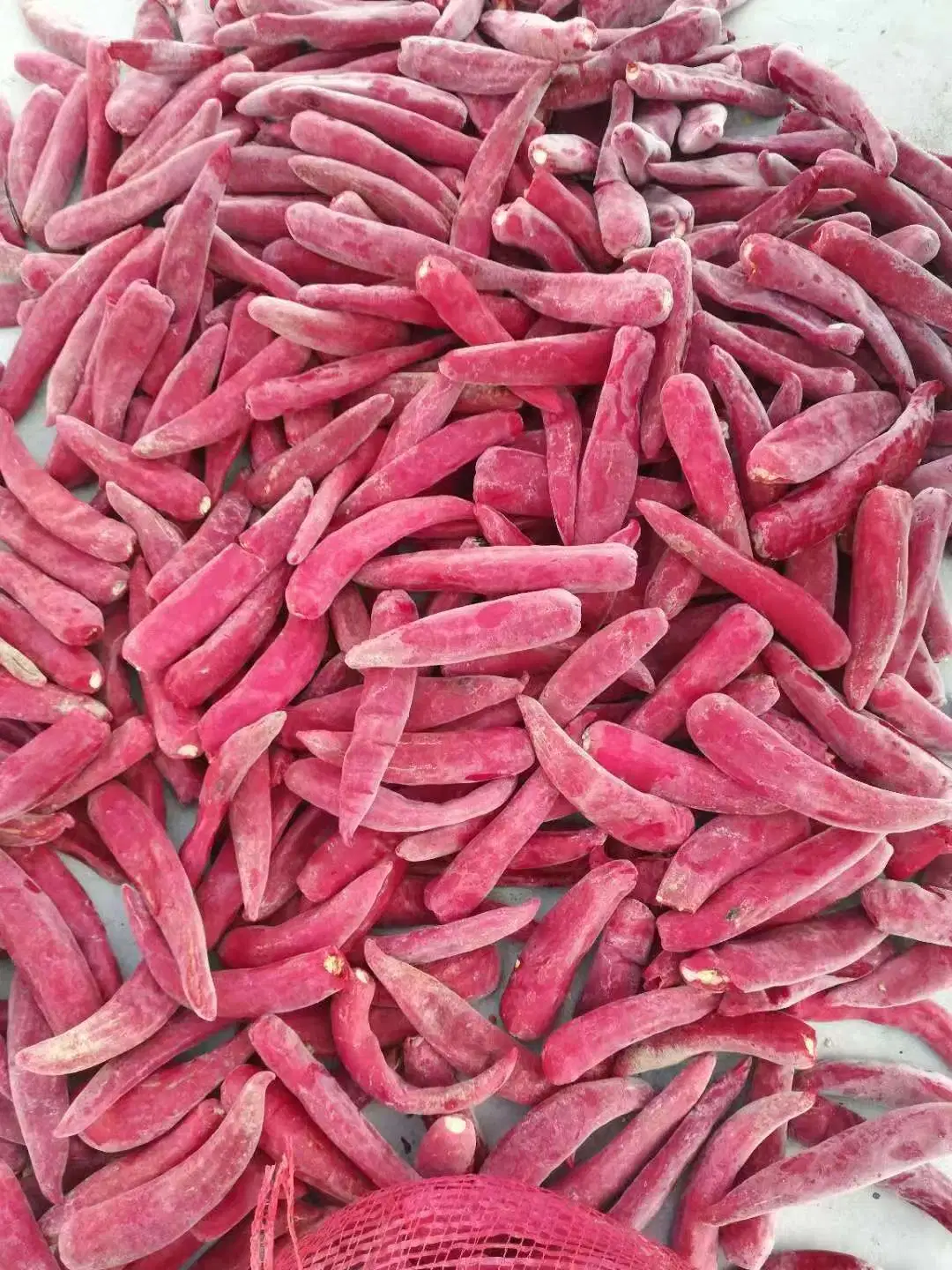 Yellow/ Red/ Green IQF Pepper in Fresh Spicy Tasty for Sale