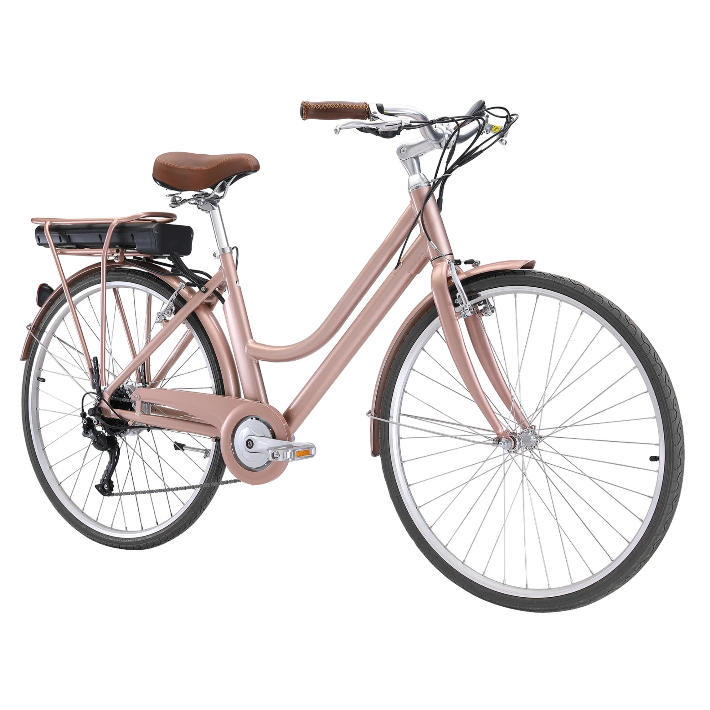 Nouveau design avec siège arrière CE Ebike 250W 36V Vélo de montagne électrique double batterie 26inch adulte vélo électrique