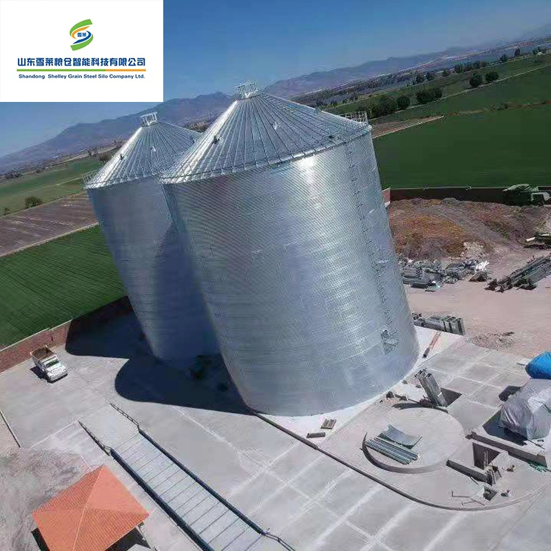 Los silos de acero Galvanzied Trigo bandejas de silos de almacenamiento de arroz para la granja