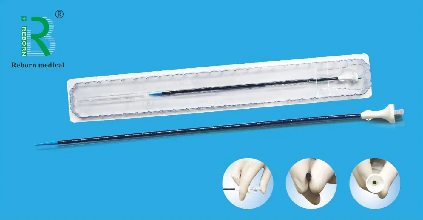 PTFE Ureteral Access Sheath with CE