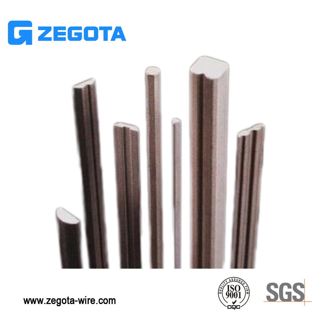 Stainless Steel Flat Wire Low-Cost Shaped Wire Steel Profile