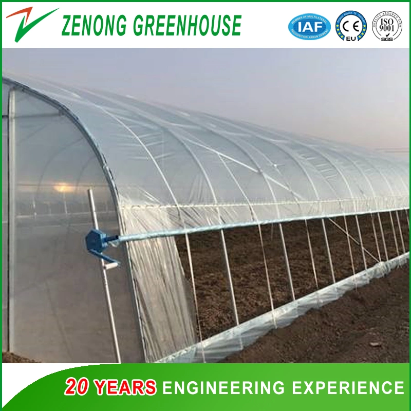 Cherry Greenhouse with Hot Galvanized Steel and Po Film