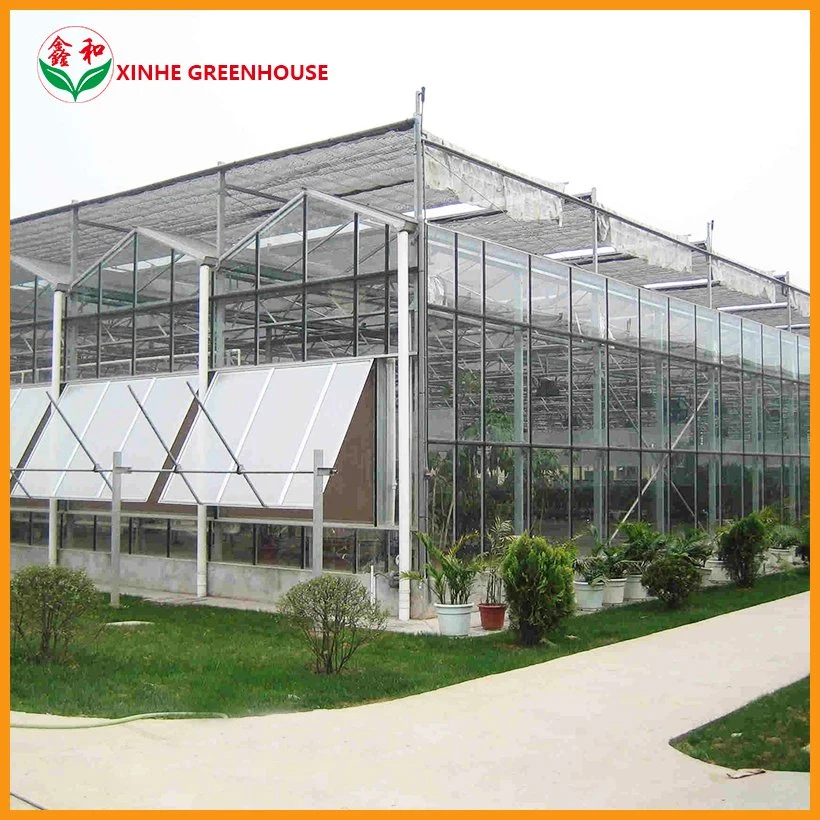 High Quality Solar Control Tempered Insulated Glass Single and Multi Cooling Greenhouse Hydroponics System with Accessories