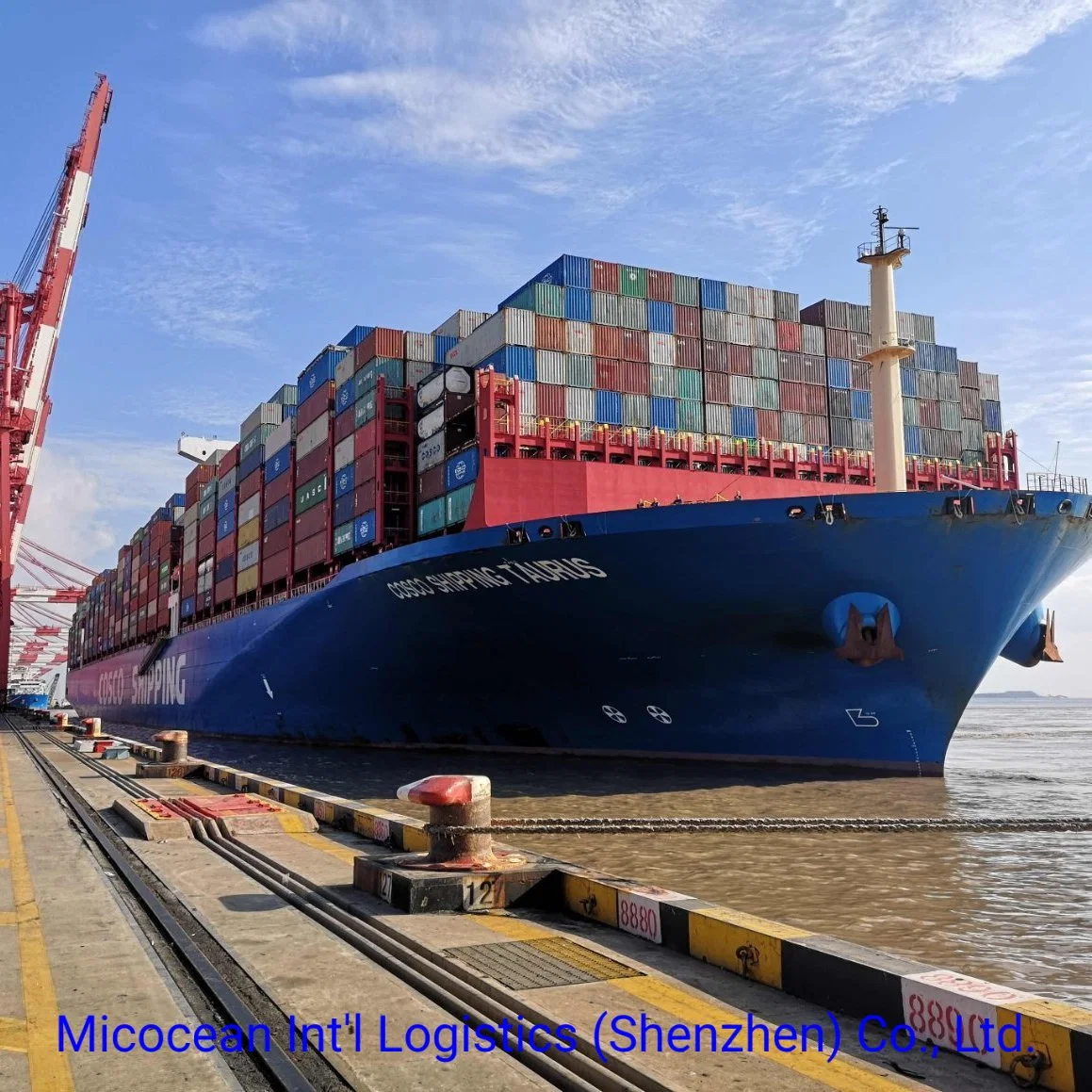 International Cheap Professional FCL/LCL Sea Freight Forwarde From China to Phnom Penh, Cambodia