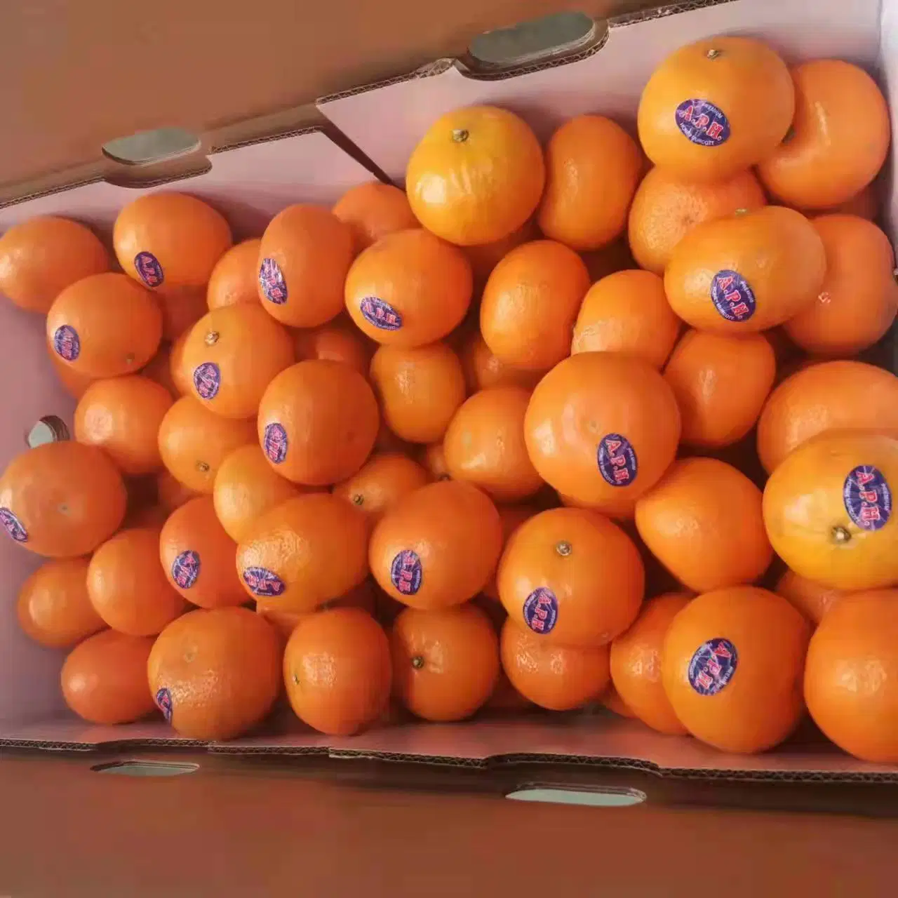 Fresh Mandarin Succulent and High quality/High cost performance Wogan Mandarin From China