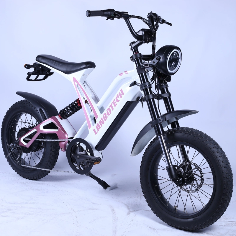 Retro Style Stealth Bomber Moped Fat Tire Electric Dirt Bike 5% Discount