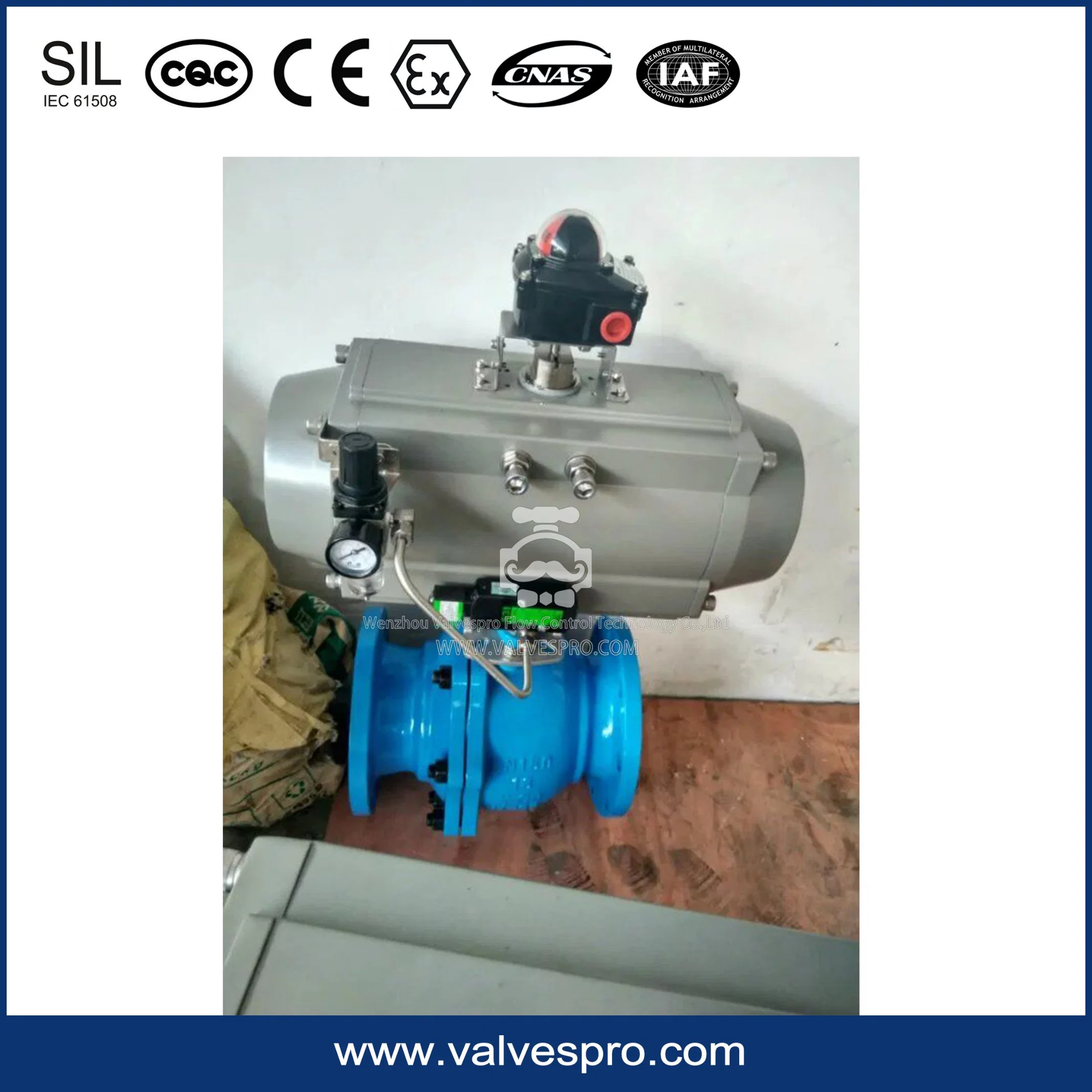 At160s Single Acting Pneumatic Actuator with Pneumatic Component