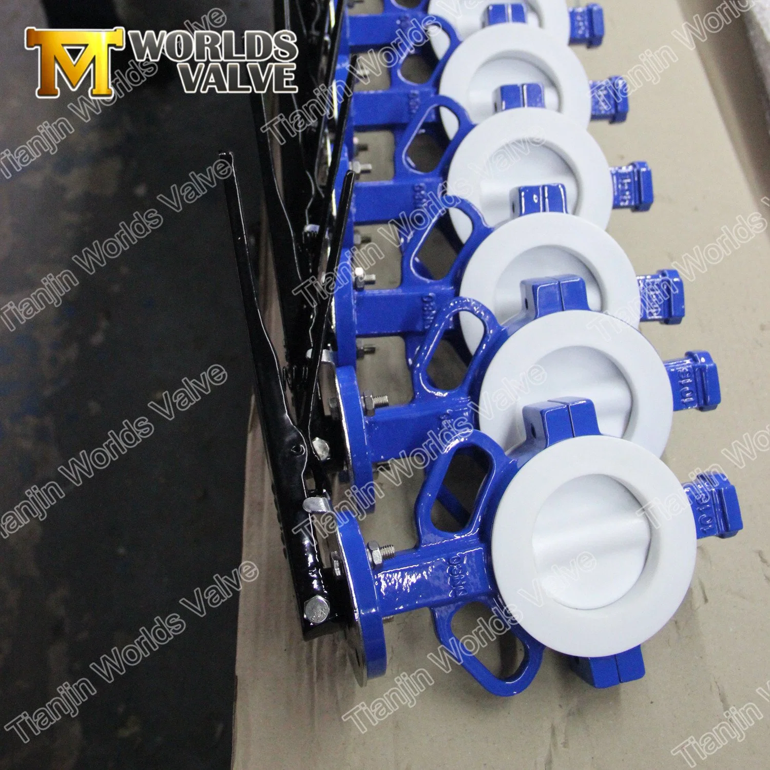 Full PFA PTFE Coating Food Grade Wafer Type Butterfly Valve with Ce ISO FDA Approved