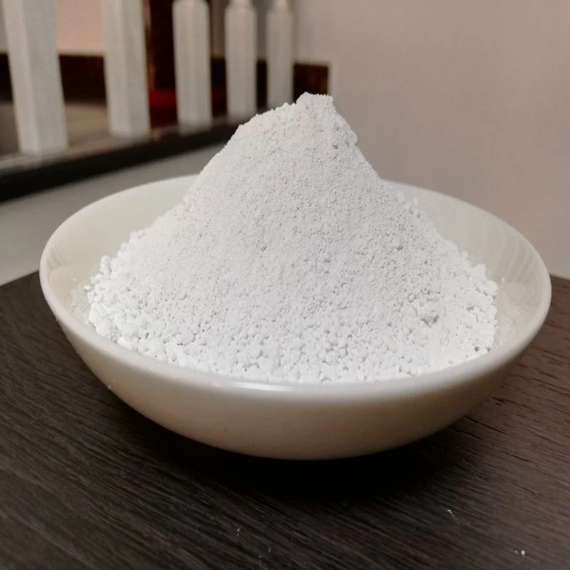High Quality Titanium Dioxide Casa 13463-67-7 TiO2 Powder Chinese Good Priceindustrial Grade