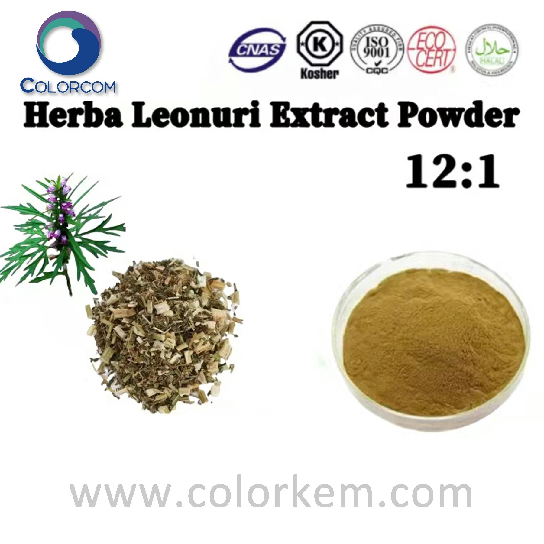 Herba Leonuri polvo de extracto 12: 1 CAS 151619-90-8 muestra libre