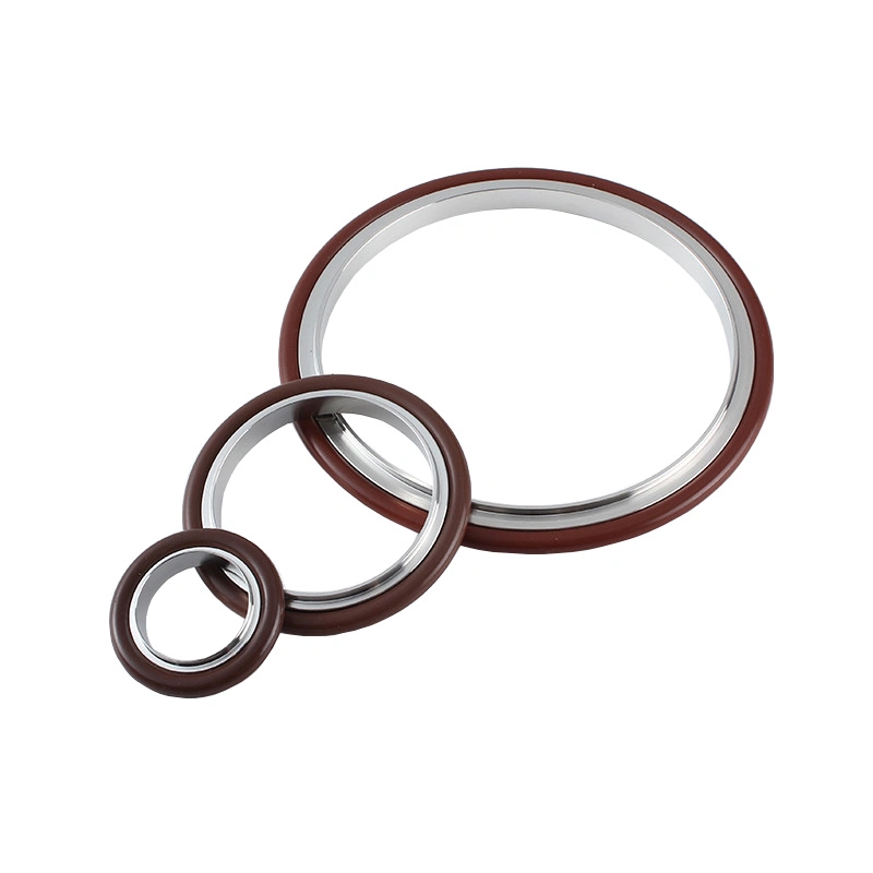 Nw Kf ISO Stainless Steel Center Ring Viton Seal for Vacuum Clamp