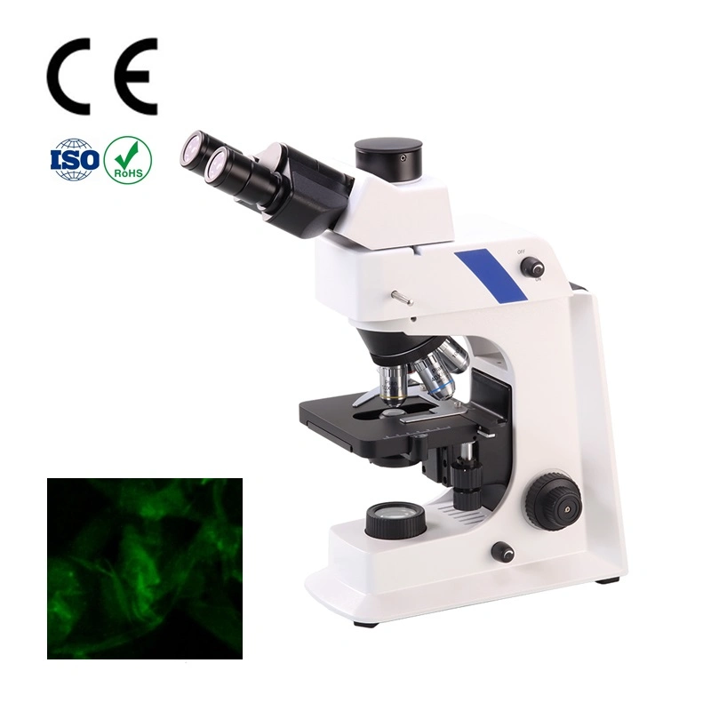 Cnoptec Microbiología bacterias células vivas de Fluorescencia de larga distancia de funcionamiento biológico microscopio trinocular