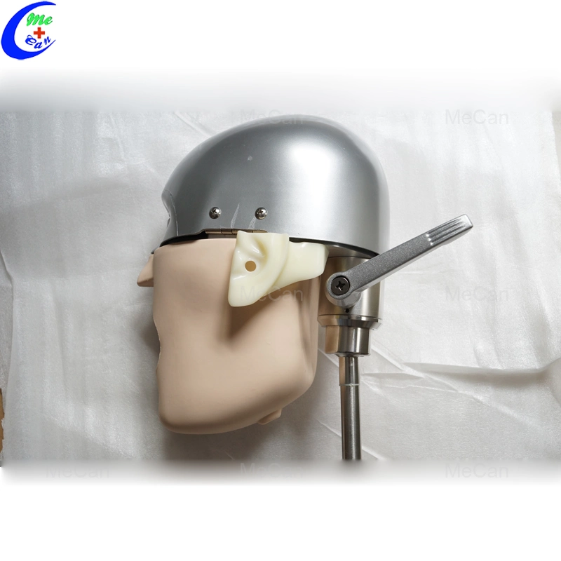 نموذج الرأس البسيط من الفولاذ المقاوم للصدأ، رأس فانتوم الأسنان
