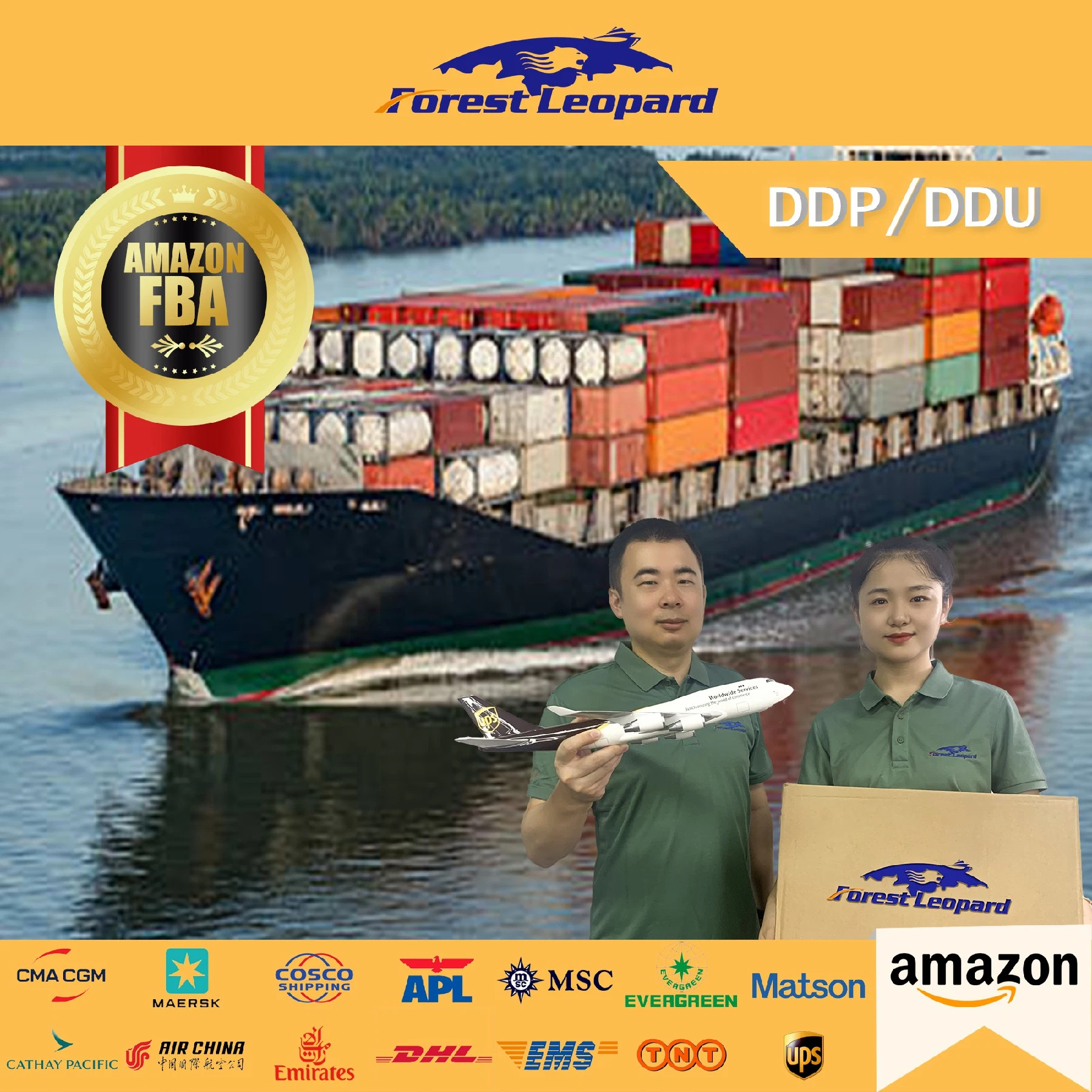 Freight Forwarder Transport DDP Amazon Fba Sea Freight to UK Italy France Poland New Zealand United States