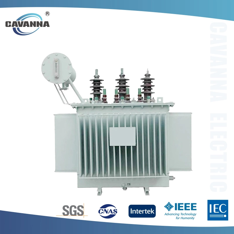 Efficient Power Transmission with S11 Oil-Filled Transformers (500kVA to 2000kVA)