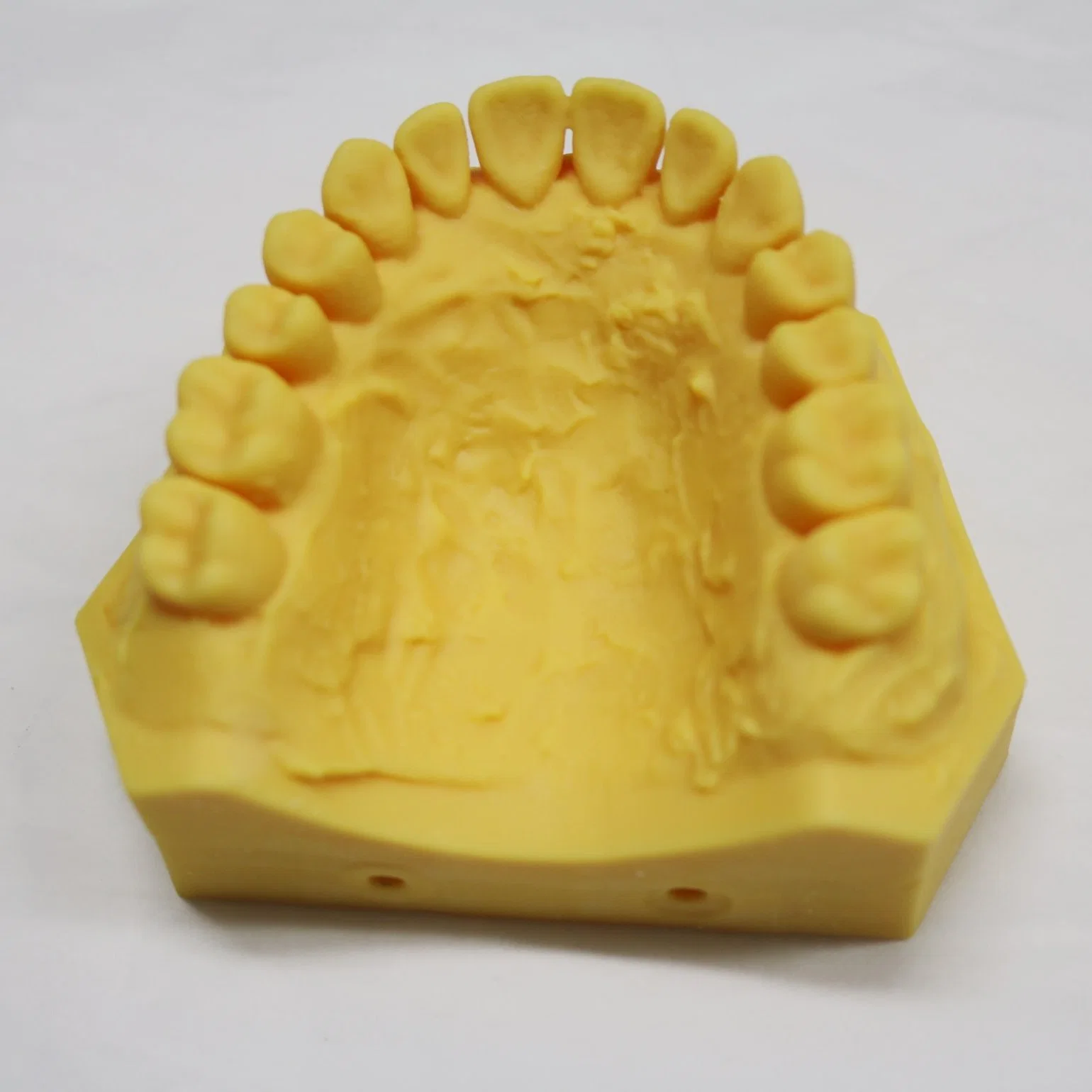 Imprimante 3D modèle de dent humaine de moule spécifique à l'hôpital résine plastique 3D Service d'impression