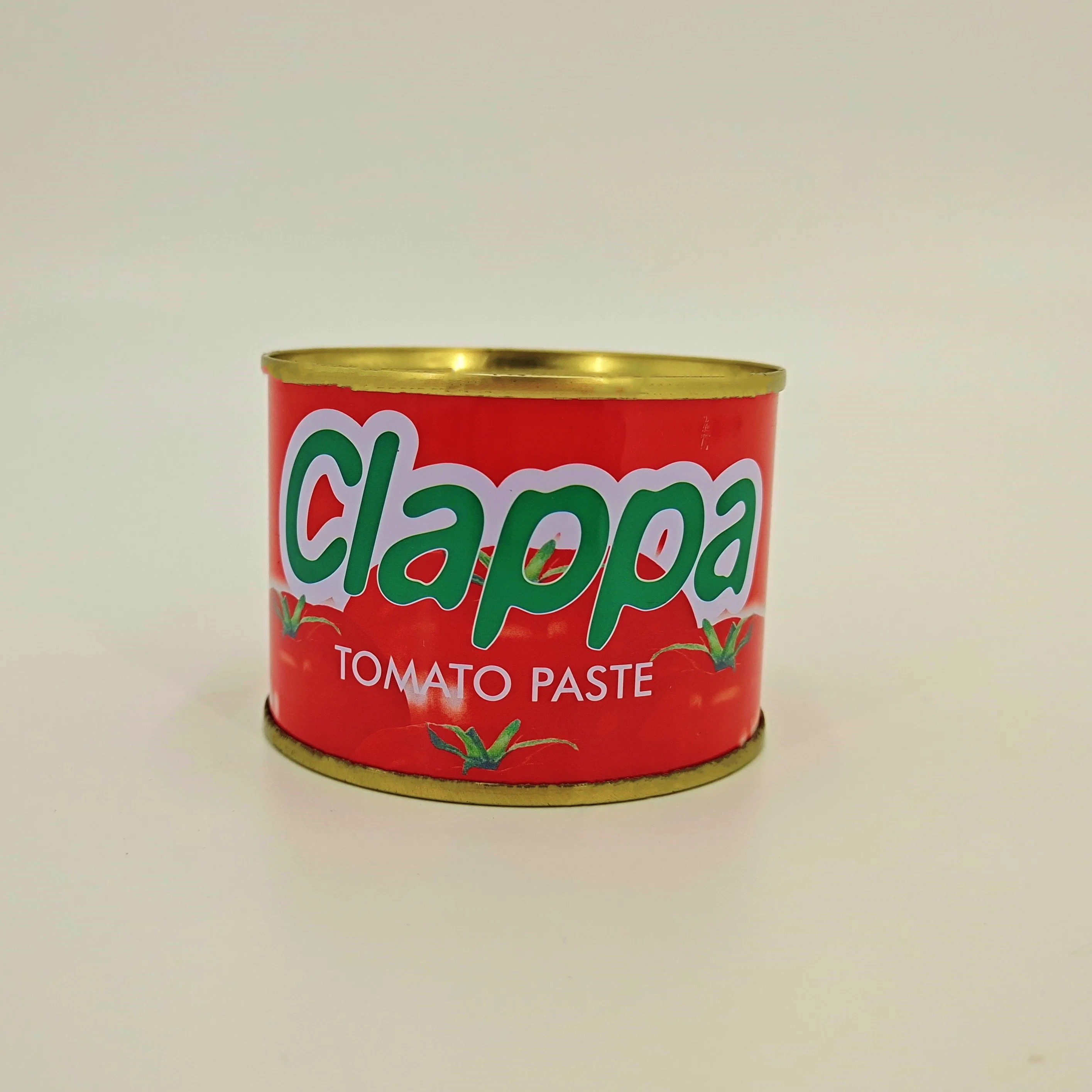 Tomato Paste Manufacturer