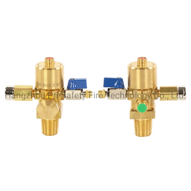 Dhp CO2 Valve for Egypt Market