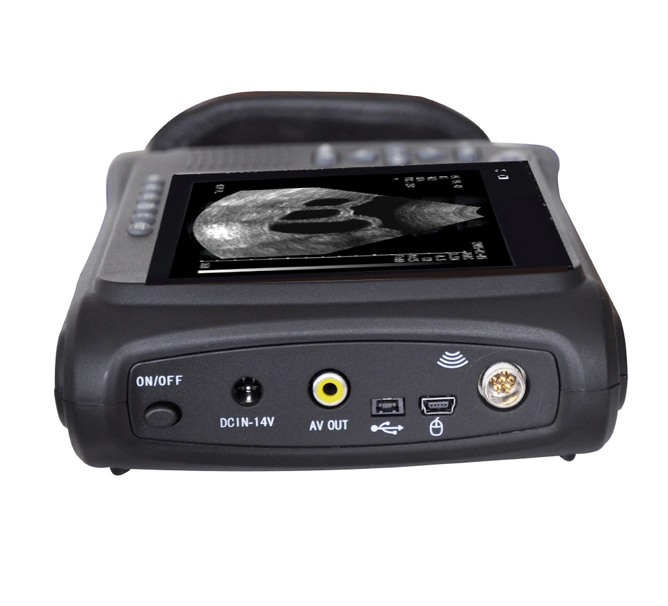 Medical Equipment Veterinary Handheld Ultrasound Scanner Pl-2018V