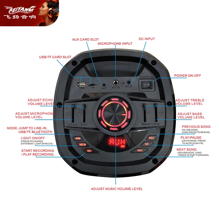 De 6 pulgadas de doble altavoz Feiyang parte modelo privado Wireless Box