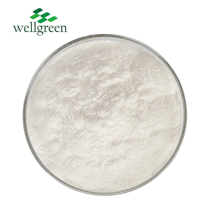 تصنيع بالجملة Well Manufactory Collagen Powder Collagen من النوع الثاني