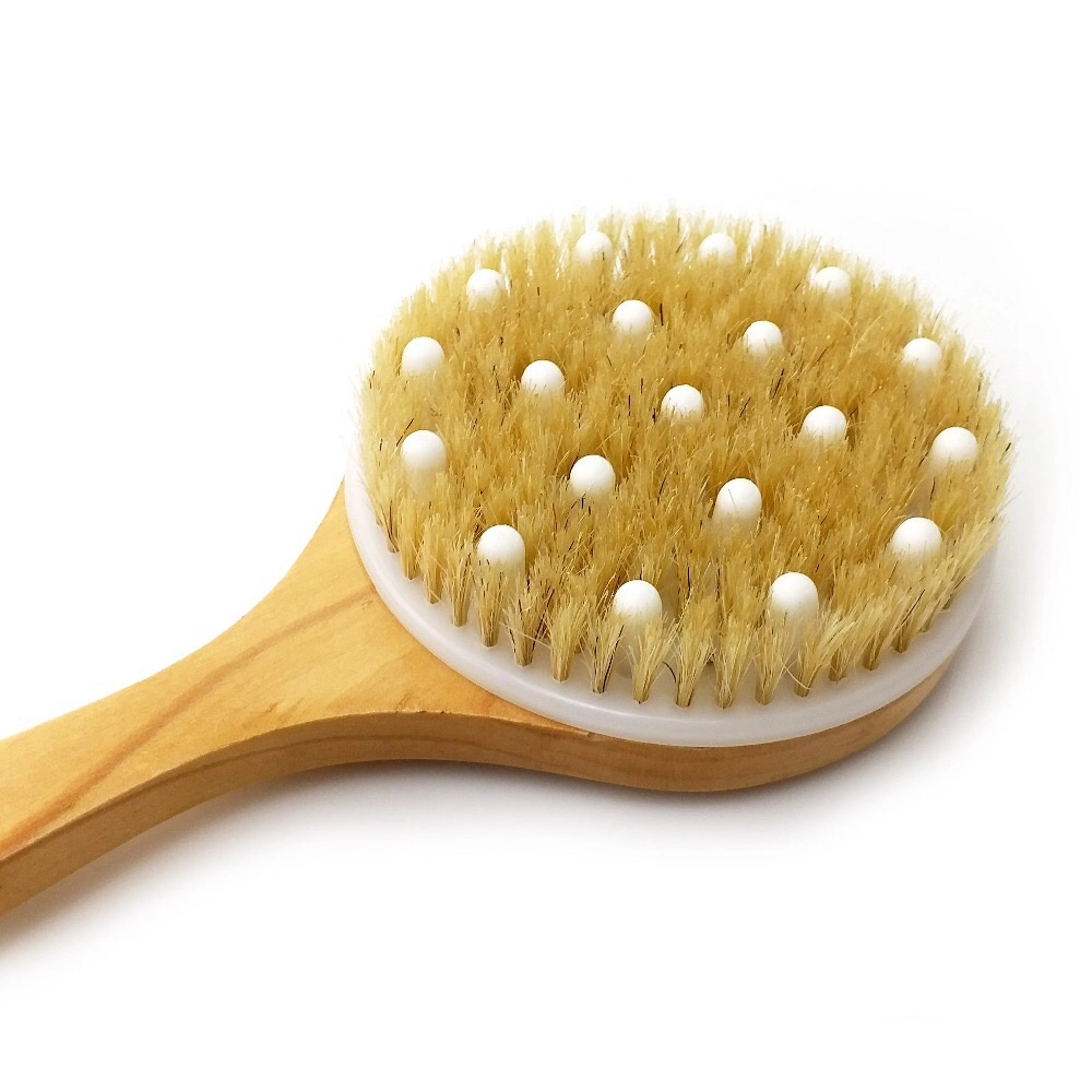 Wood Handle Natural Bristle Bath SPA Massage Brush