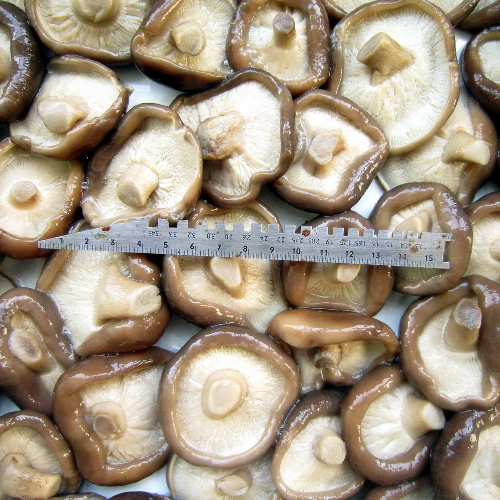 Health Food Fresh Shiitake Mushroom Whole From Factory Price