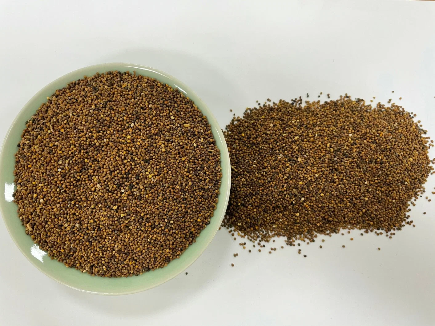 Tusizi Semen Cuscutae Dodder Seed Wholesale Chinese Manufacturer Chinese Traditional Herb