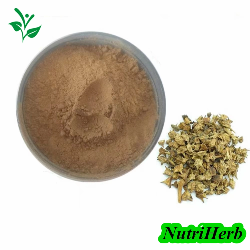 Bulk Supply Tribulus Terrestris Extract 98% Tribulus Saponins Powder