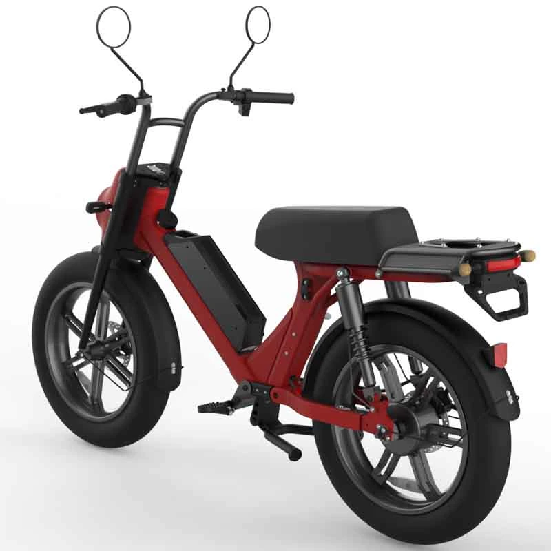 1000W Electric Scooter Motorbike Bicycle with Fat Tire