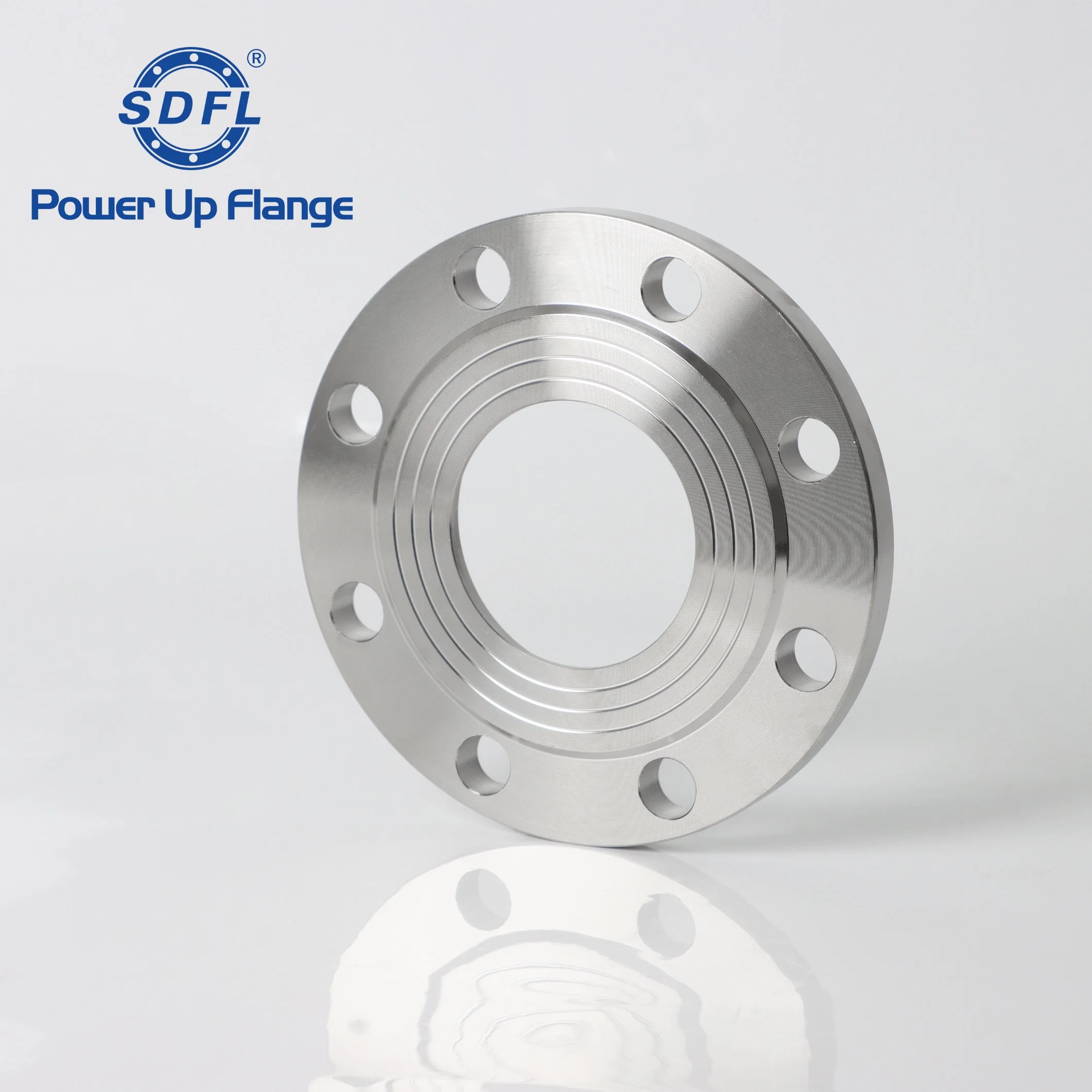 ASME B16.5 3inch 150b Forged 304 RF Stainless Steel Plate Flanges