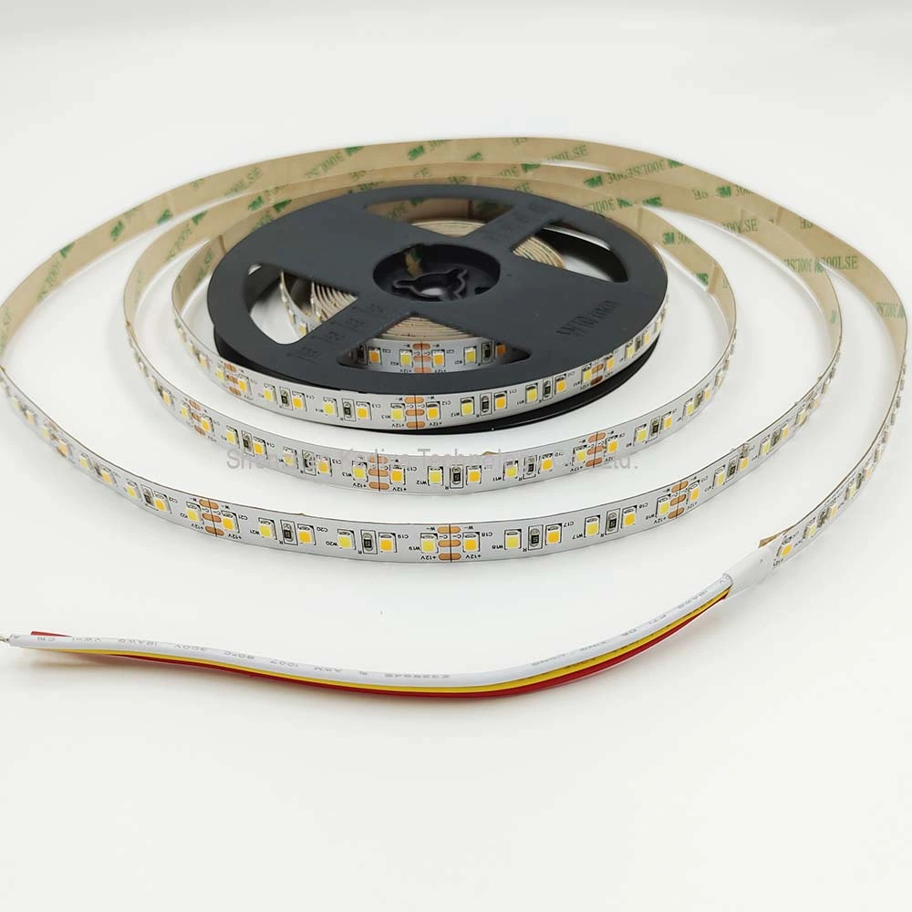 SMD2835 CCT LED Streifen Flexible LED-Band für den Außenbereich Wasserdicht 2835 IP65 LED-Seilleuchte für Lichtdekoration