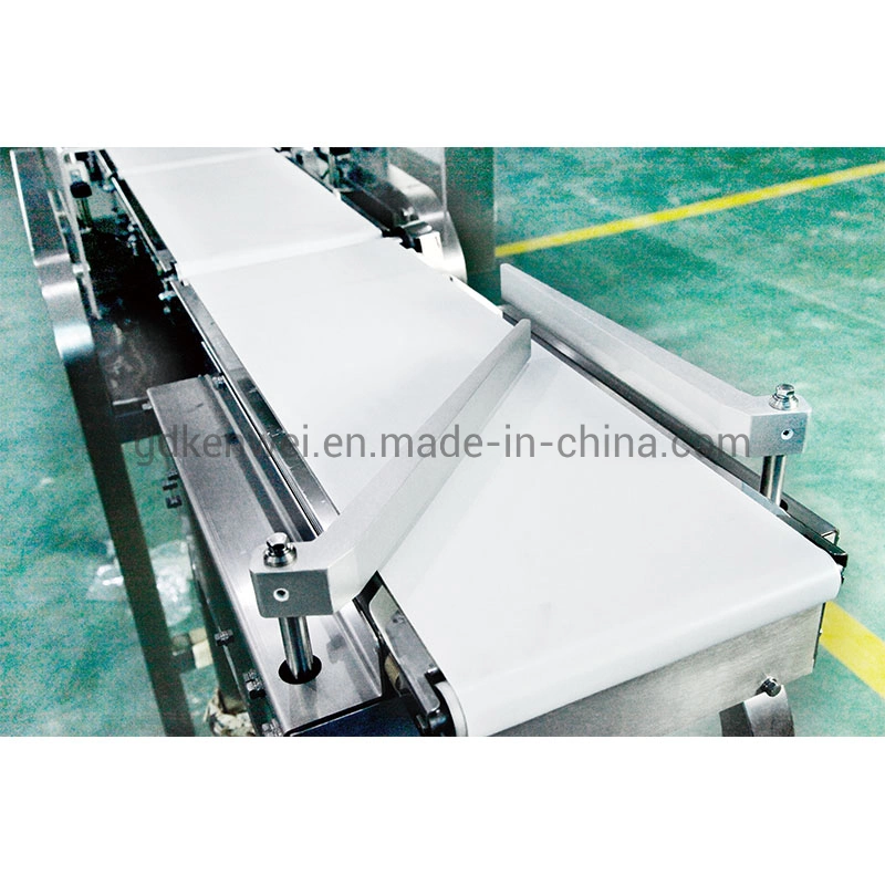 Horizontal Metal Detector for Food Industry with Conveyor Belt