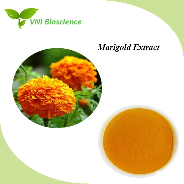 Certificado kosher Extracto Natural de Flores de Marigold 100%