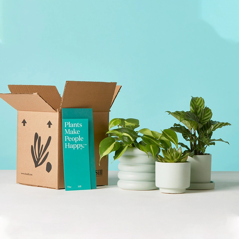 Custom Plant Shipping Packaging Boxes Potted Live Natural Plant Corrugated Packaging