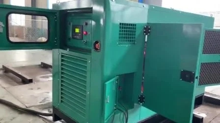 Continuous Power 40kw Container Type Natural Gas Biogas LNG Generator