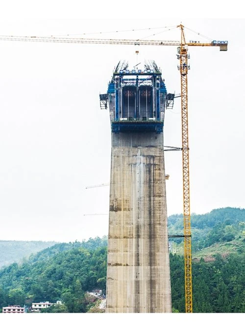 Torre de elevação com carga máxima de 18 t com ponta de lança de 3.2 t Guindaste de lança de 60 m.