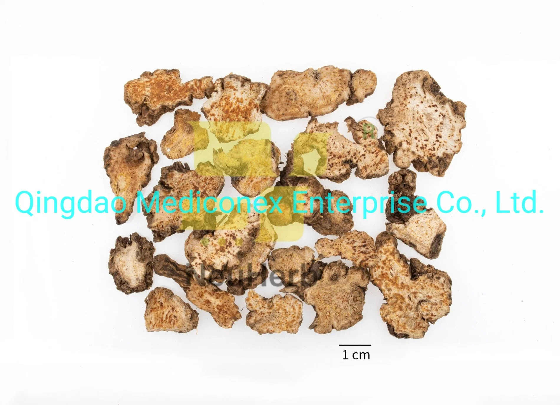 Angelica Pubescens (root) Natural Prepared Chinese Herbal Medicine Crude Herb