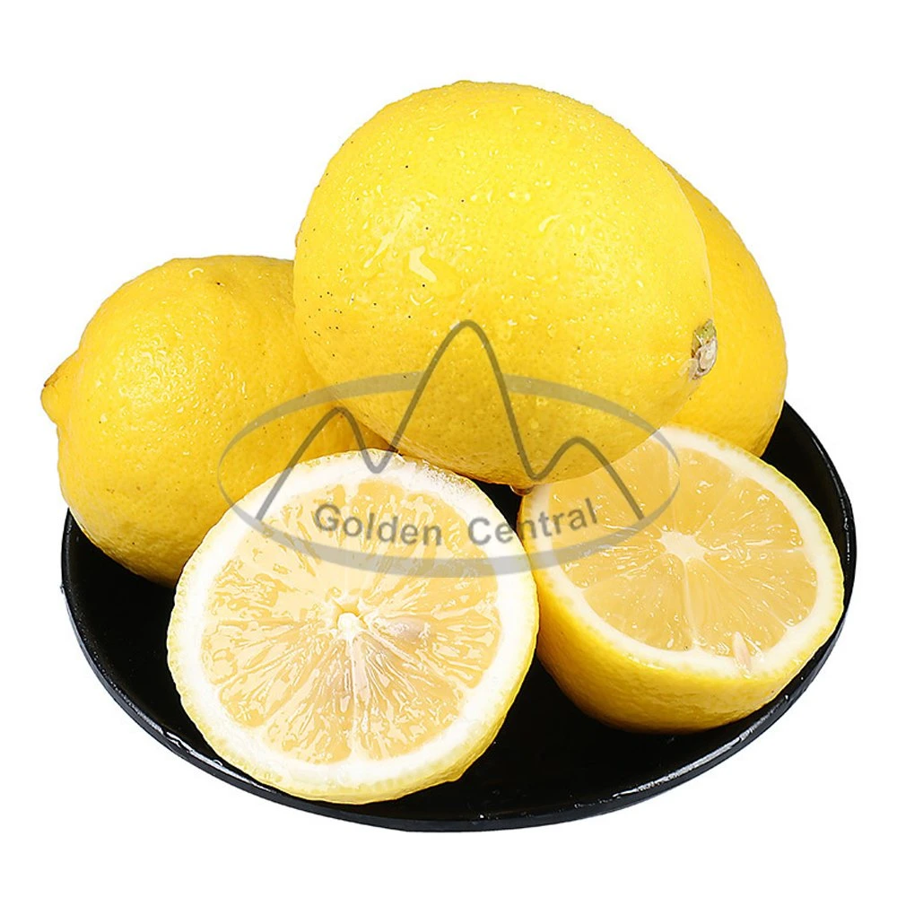 Hot Sale Cheap Price China Fresh Lemons