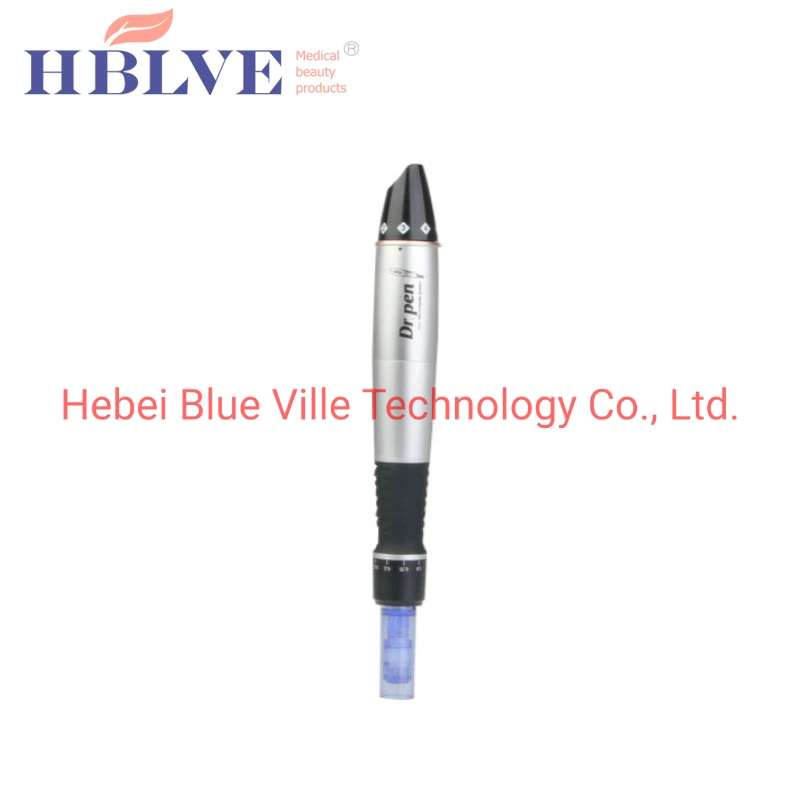 Die Beliebtesten Haut Nährende Elektrische Derma Pen Wiederaufladbare Microneedling Derma Stift