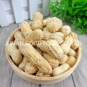 Sturdy Shell Raw Peanuts / Roasted Peanuts