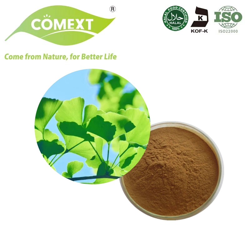 Comext 100% Natural Powder Plant Ginkgo Biloba Extract with Factory Price