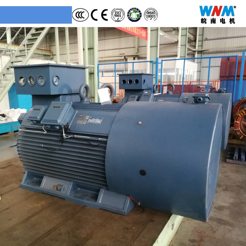 Ylv Low Voltage Large Power 185~800kw Three Phase AC Induction Electric Crusher Motor Base Cast Iron with Foot H400~450mm Ylv400-3-2 450kw 2980rpm