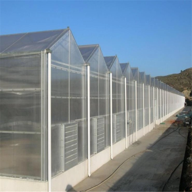 Multi-Span Poly Carbonate Agricultural Greenhouse for Tomato/ Cucumber/ Lettuce/ Pepper Planting